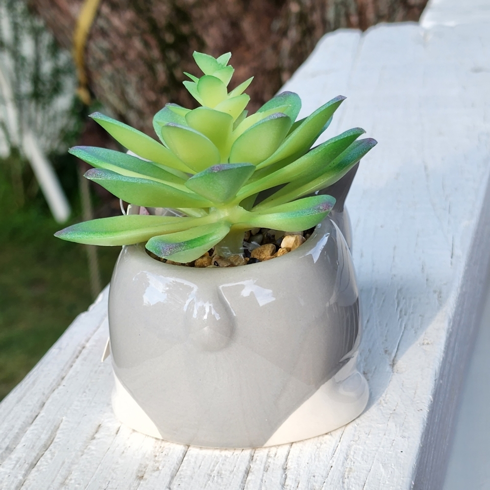 Flora Bunda Gray Puppy Ceramic Planter With Artificial Succulent Flower - Picture 7 of 10